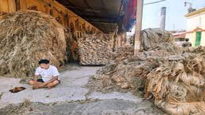 Indian Jute Industry Faces 5-6% Revenue Decline in FY24 Due to Lower Exports, Says CRISIL Ratings